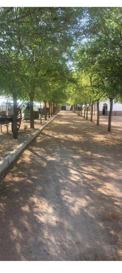 Lujosa Casa En La Cuna Del Quijote Tomelloso Εξωτερικό φωτογραφία