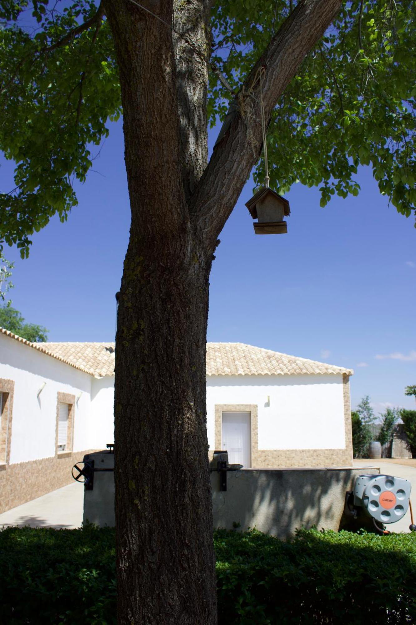 Lujosa Casa En La Cuna Del Quijote Tomelloso Εξωτερικό φωτογραφία