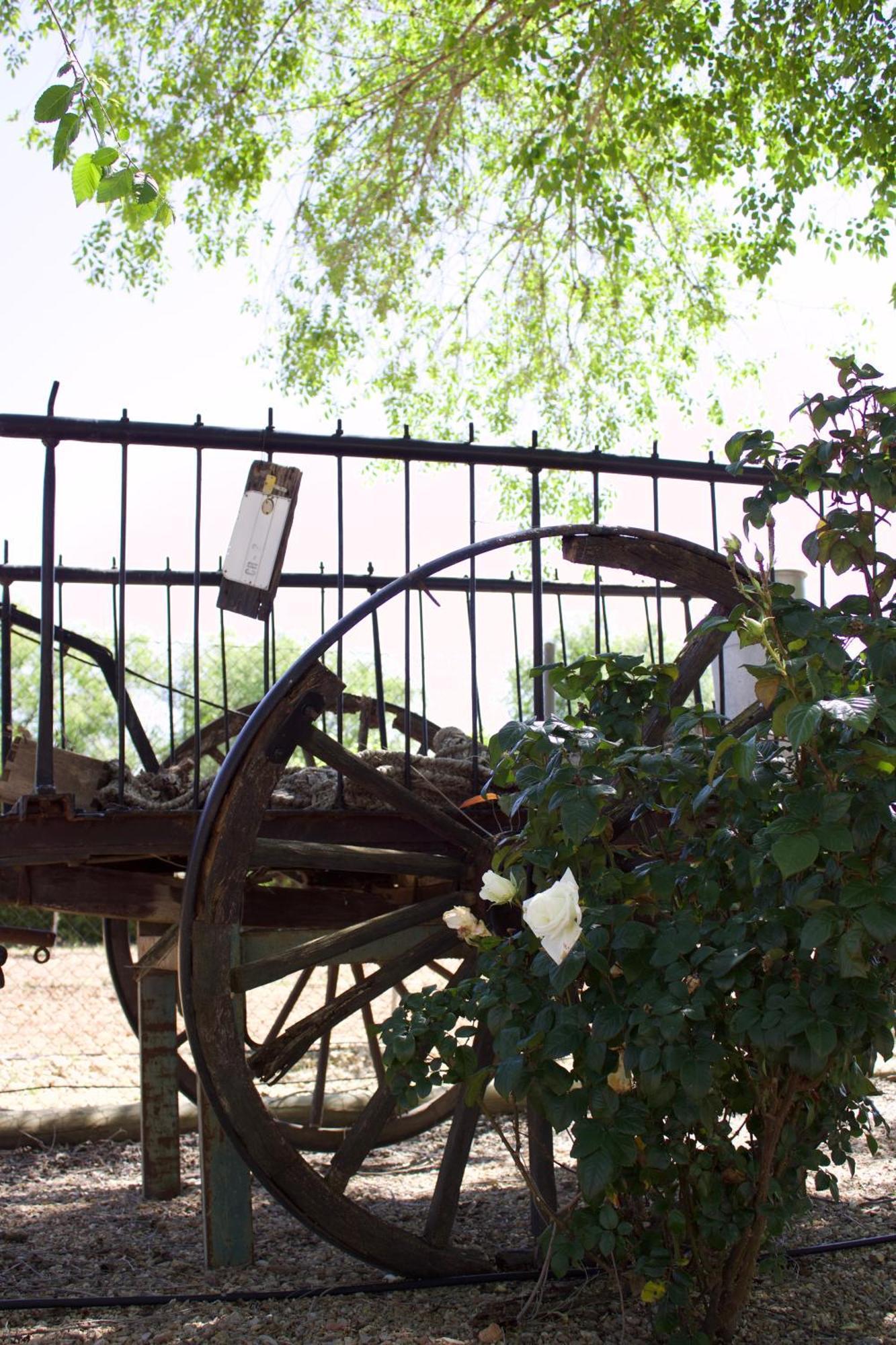 Lujosa Casa En La Cuna Del Quijote Tomelloso Εξωτερικό φωτογραφία